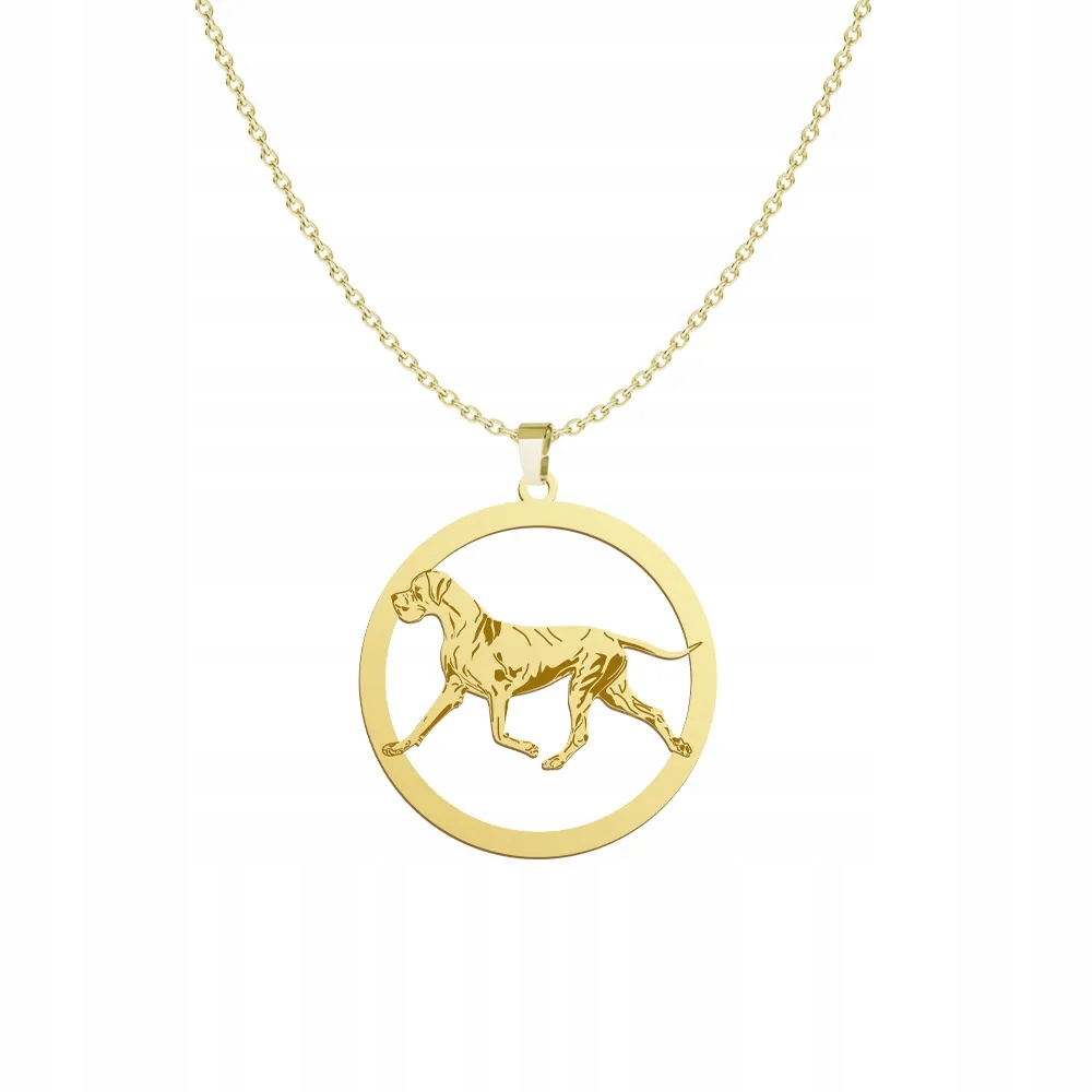 Zlatý náhrdelník se psem Great Dane 925 Řetízek Dárek Gravírování Bonus