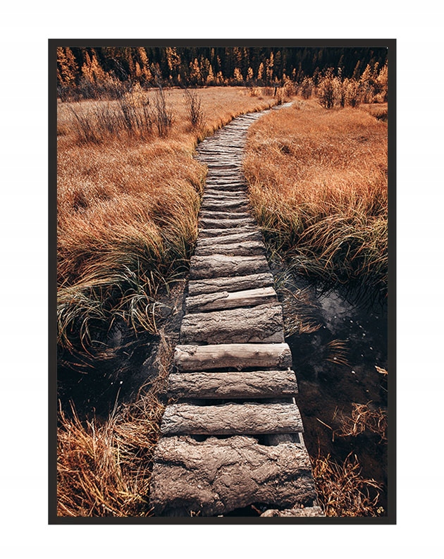 

Obraz Plakat W Ramie 53x73 cm Jesień P1161