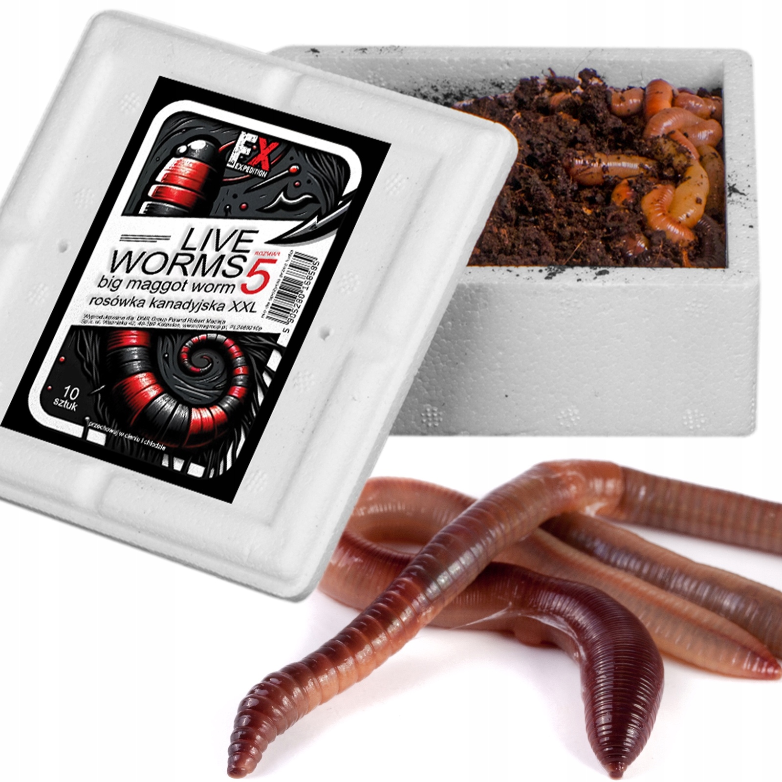 ŻYWE ROBAKI ROSÓWKA KANADYJSKA ROZMIAR 5 BARDZO DUŻE SKUTECZNA PRZYNĘTA