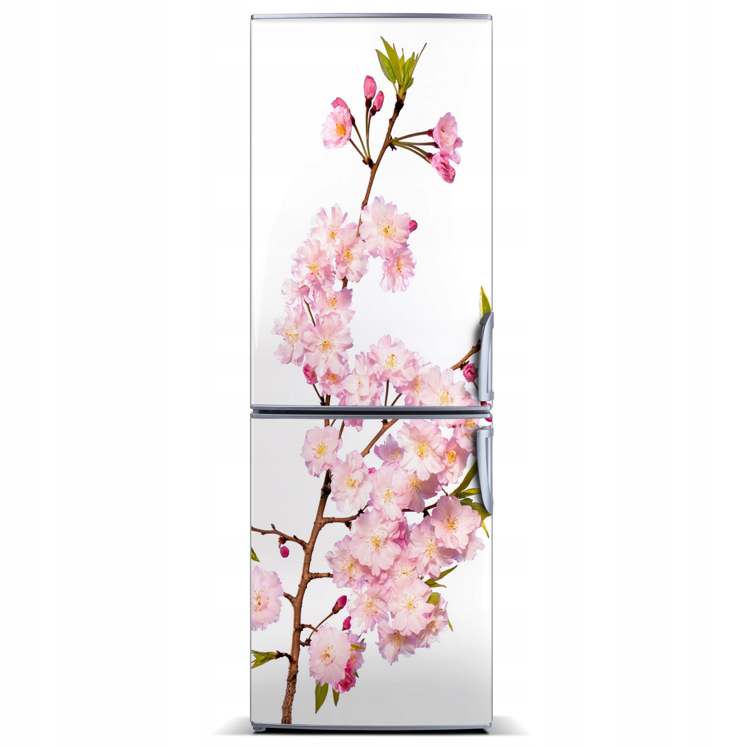 

Magnes magnetyczna lodówkę Kwiaty wiśni 60x180