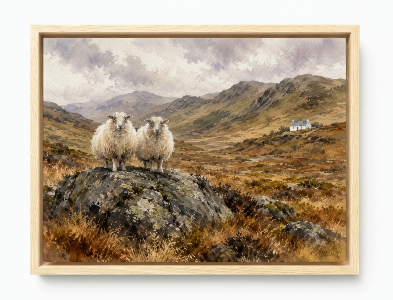 Obraz Rám American Box Krajina Hory Škótsko Highlands Ovce Hmla 80x60