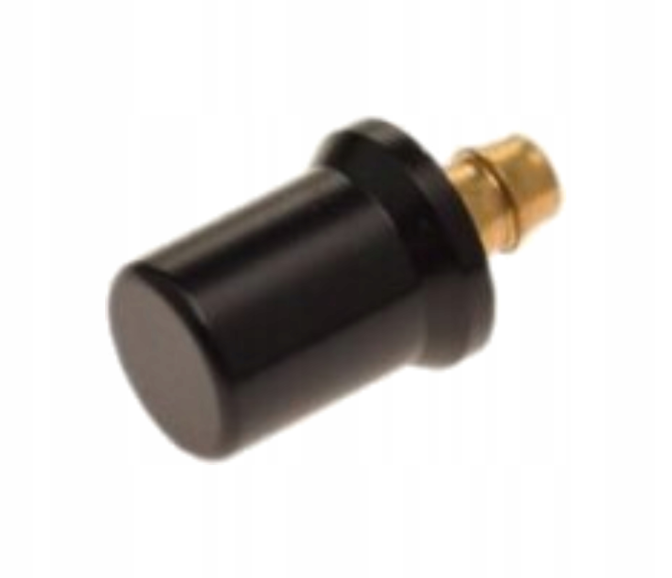 

Generic Trigger 50 Odpowietrznik Zbiornika Paliwa