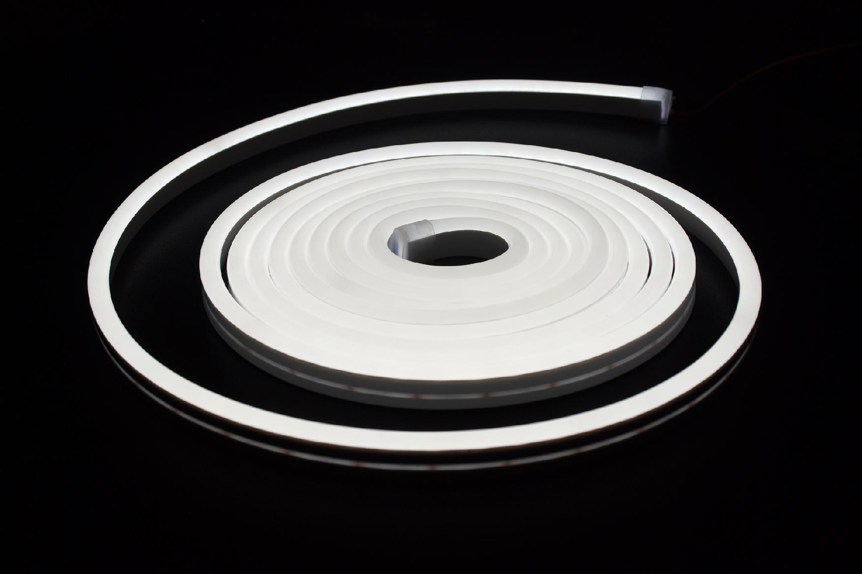 MW-NS-0816-CW-12V: Signage Neon vnitřní 12V/12W/m studená bílá 9000K