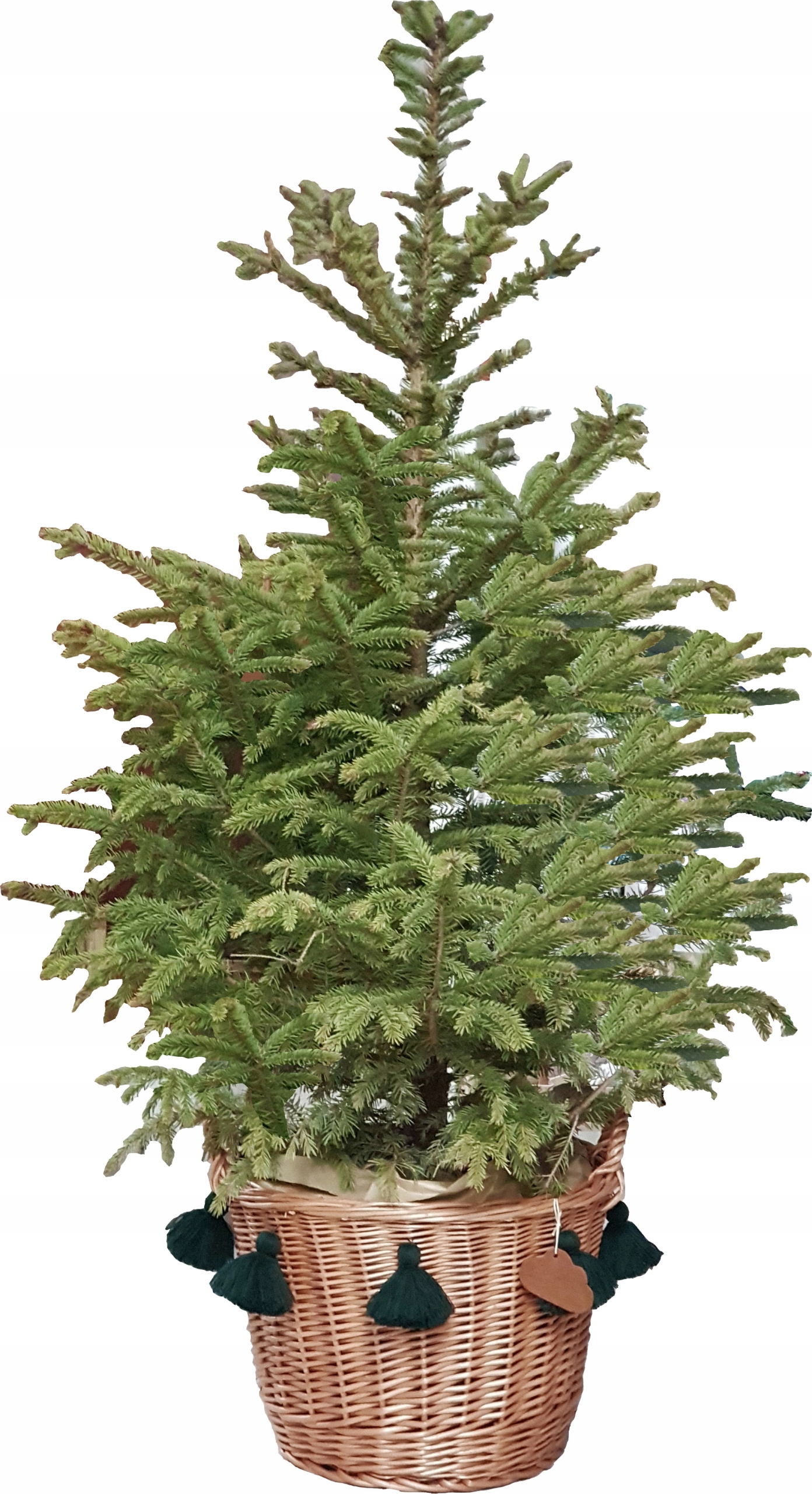 

Kosz Wiklinowy Na Choinkę Stojak Naturalny Chwosty
