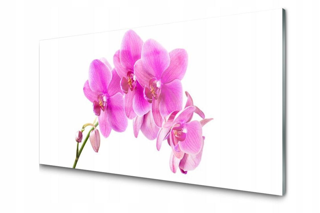 

Panel szklany Płytka Storczyk Kwiat 120x60 + Klej