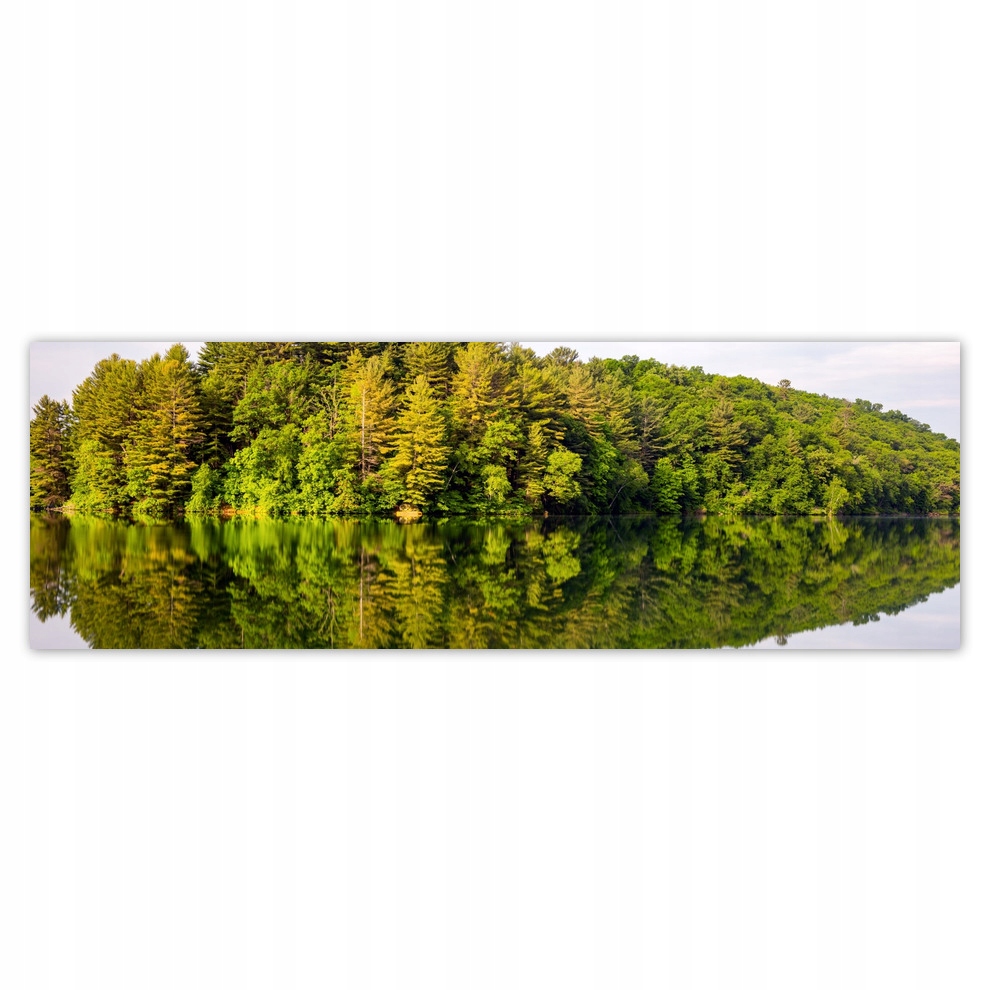 

Naklejki 200x66 Las Jezioro Chmury
