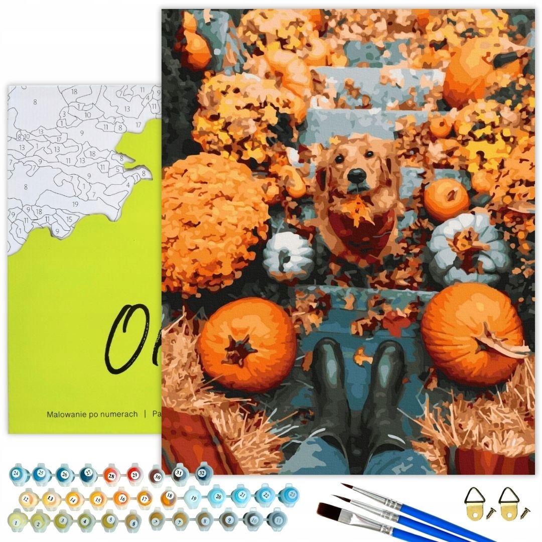 Malování Podle Čísel Pes Obrázky Pro Malování podle čísel S Rámečkem Oh Art