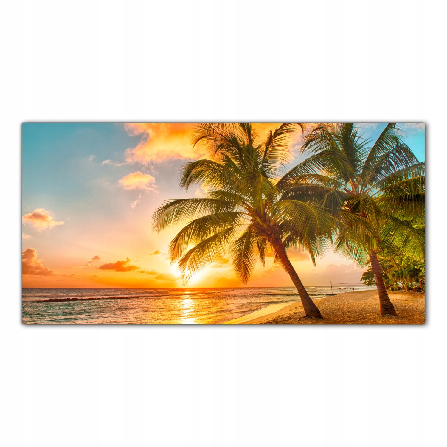 

Obraz na szkle Foto Tropiki Plaża Barbados 120x60