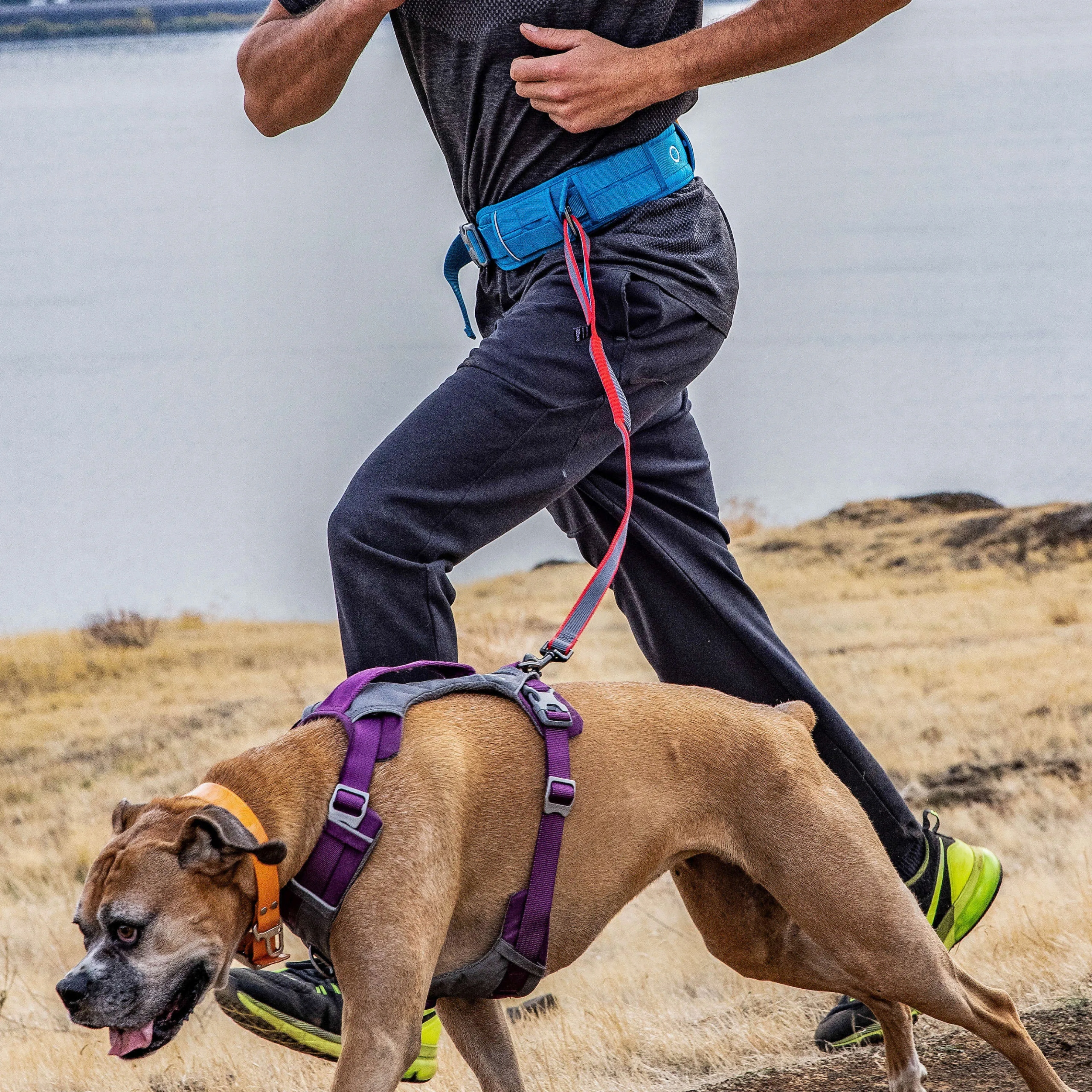 Kurgo RSG Active Belt - pas do biegania z psem, niebieski Marka inna