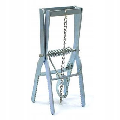 

Kretołapka Pułapka Łapka Na Krety Nornice Duża