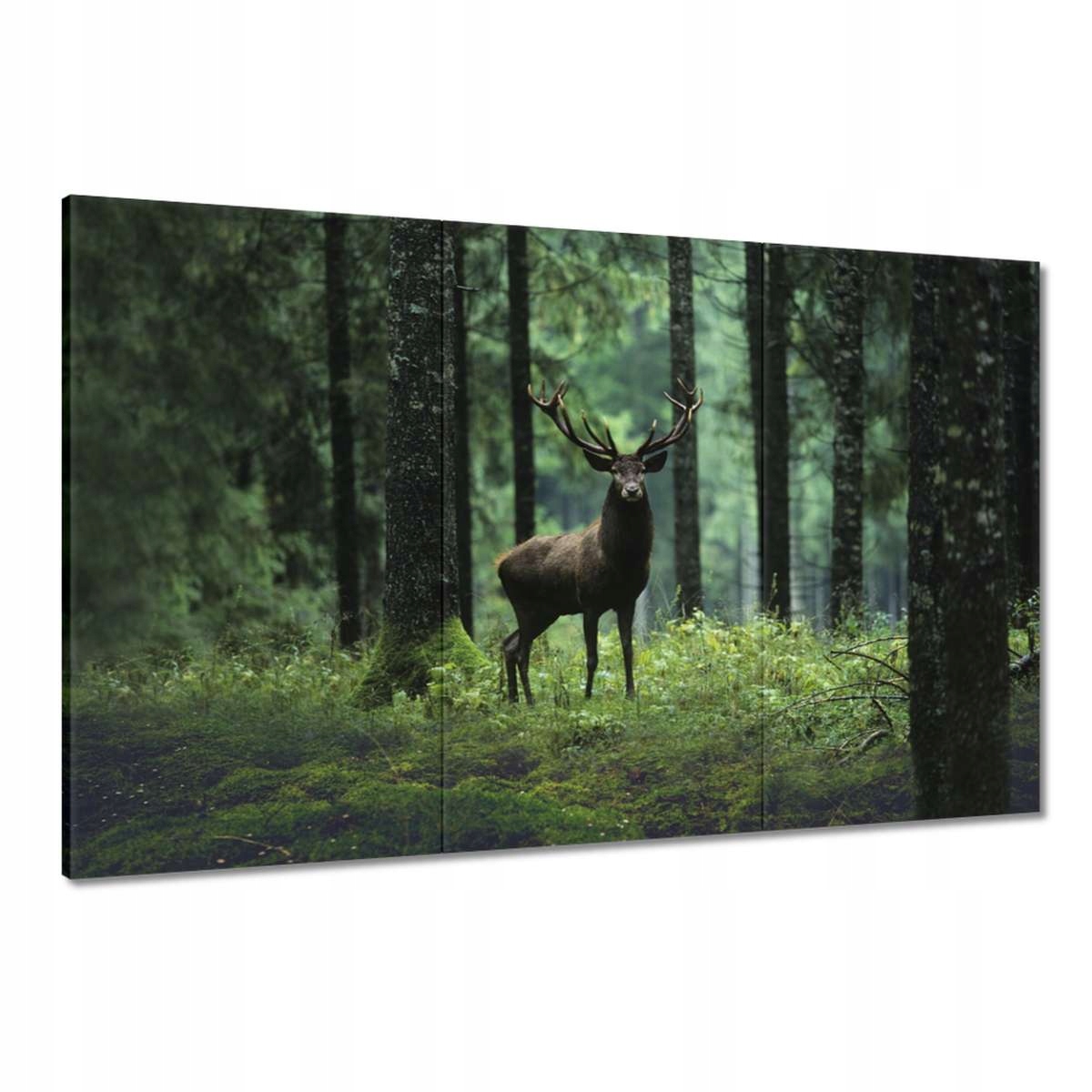 Obrazy 120x80 Jelen Jelení Les Krajina