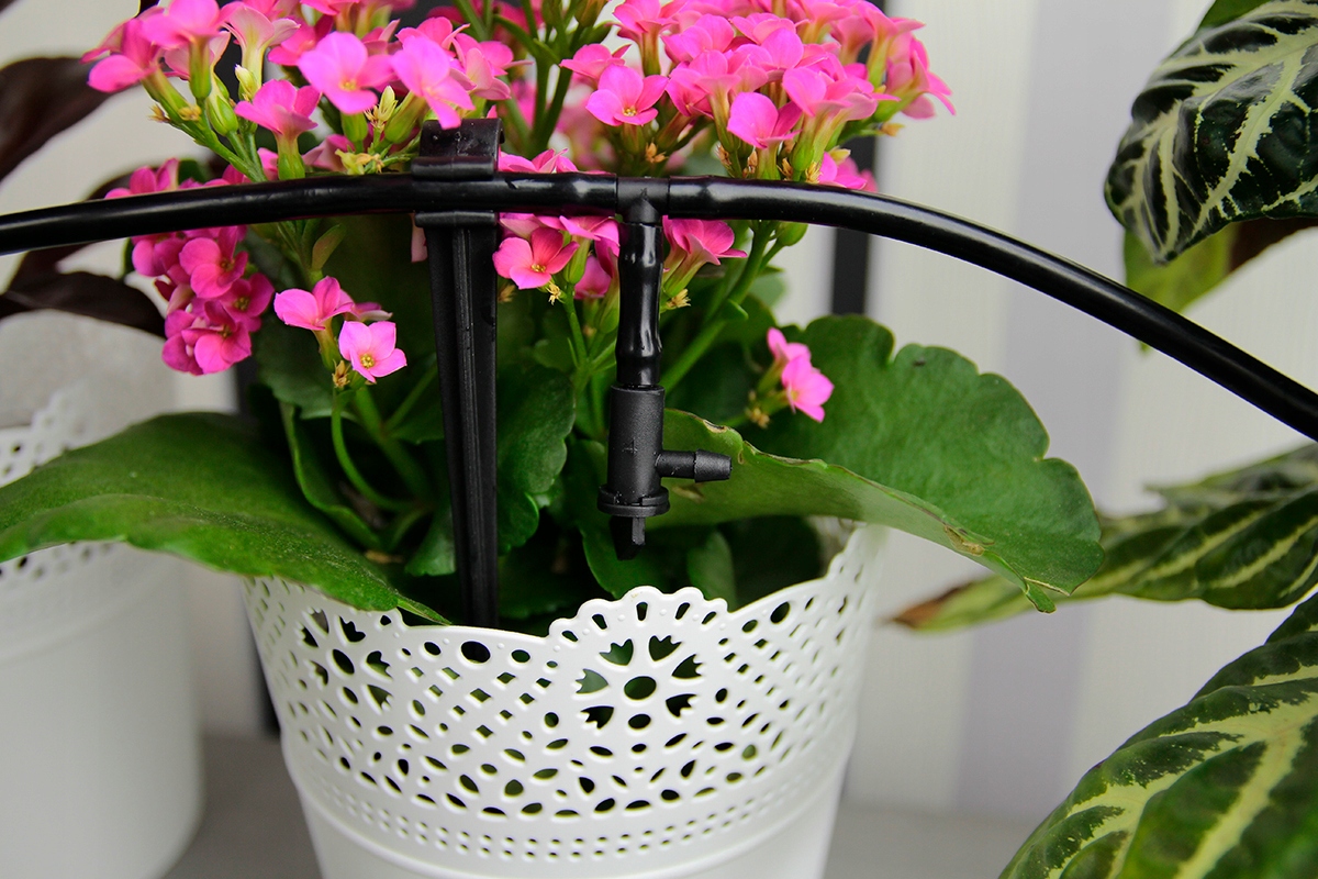 KONEWKA AUTO automatyczny system nawadniania ROŚLN DONICZKOWYCH na balkon Marka Greenmill