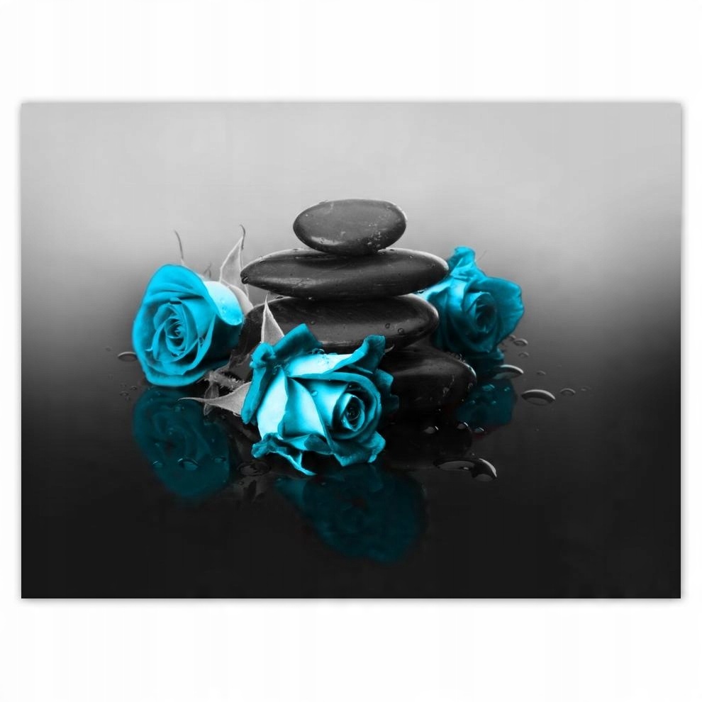 

Plakat 40x30 Turkusowa róża Spa