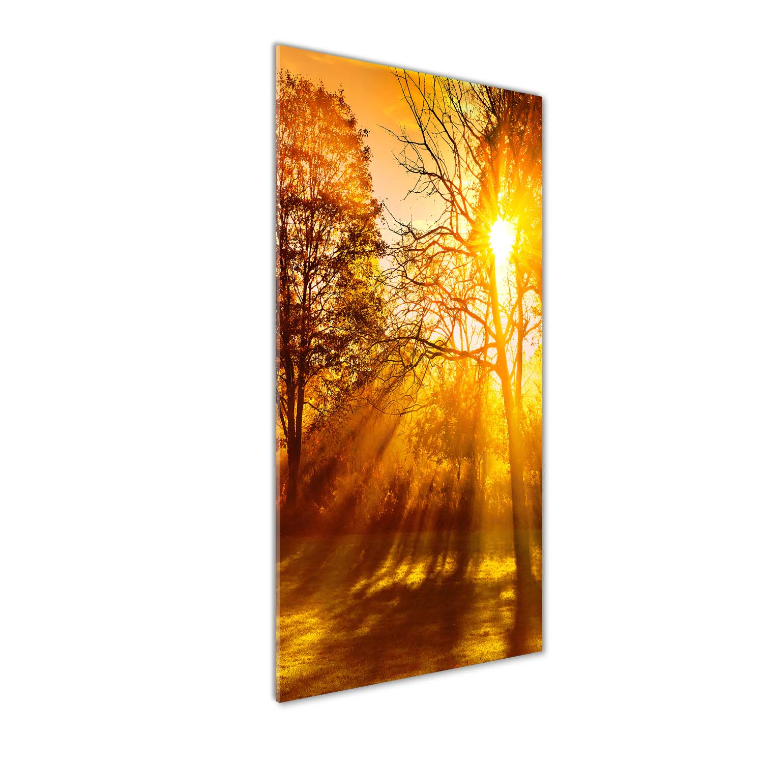 

Foto obraz akrylowy do salonu Park jesienią 50x125