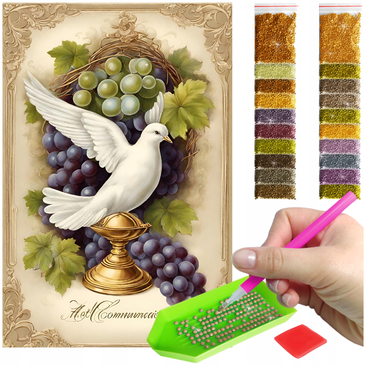 Výšivka Diamantová Diamond Painting mozaika holubice s ovocem sada pro přijímání