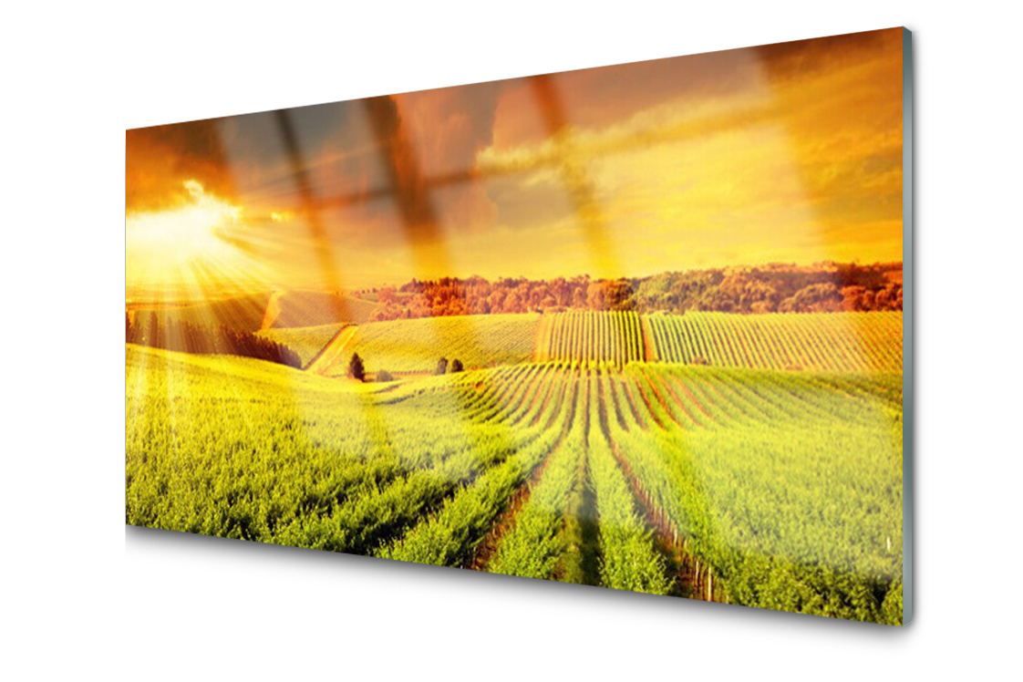 

Panel szklany dekor Pole Zachód Słońca 100x50