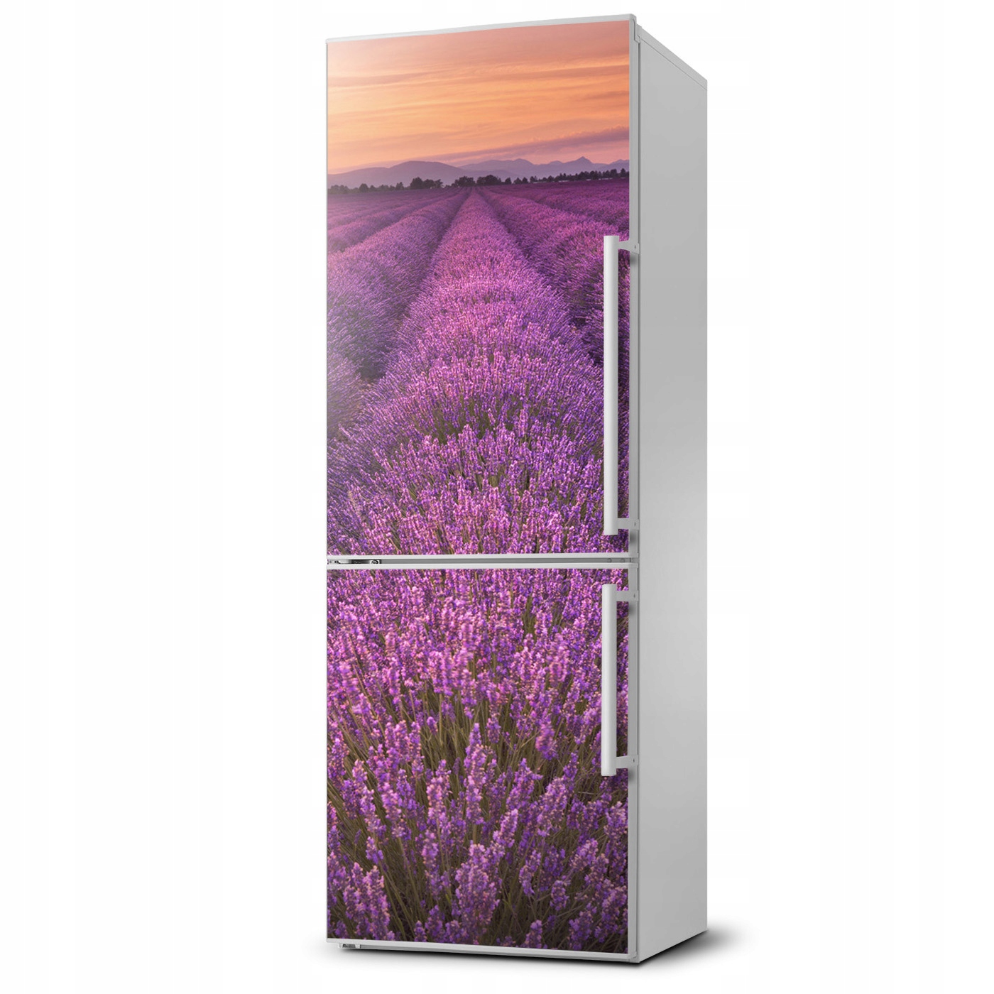 

Magnes na lodówkę magnetyczna Pole lawendy 60x180