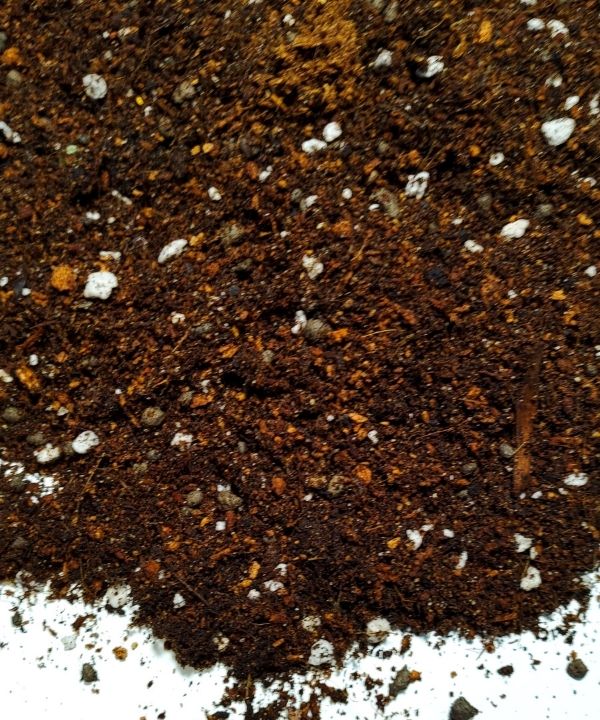 Podłoże do Trzykrotki