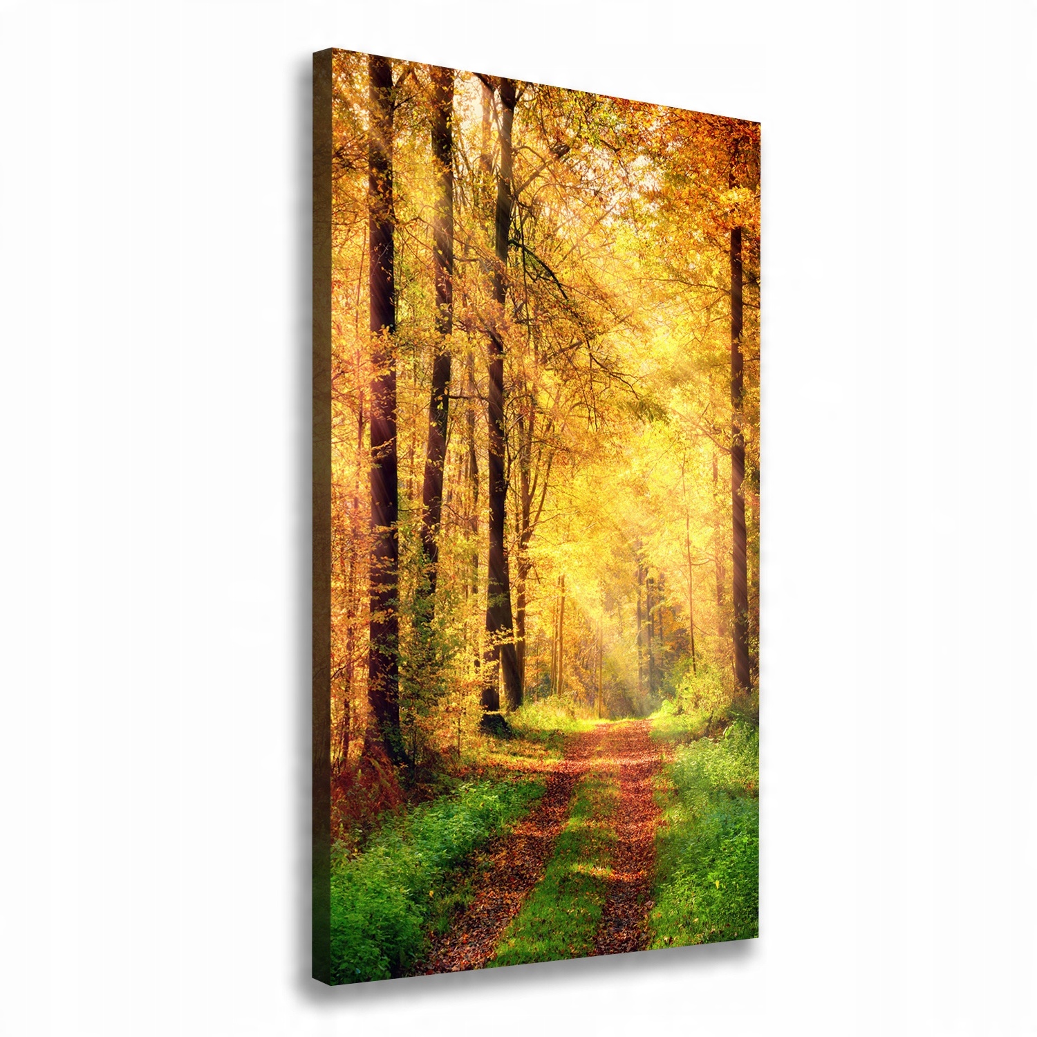 

Foto obraz canvas do salonu Las jesienią 60x120