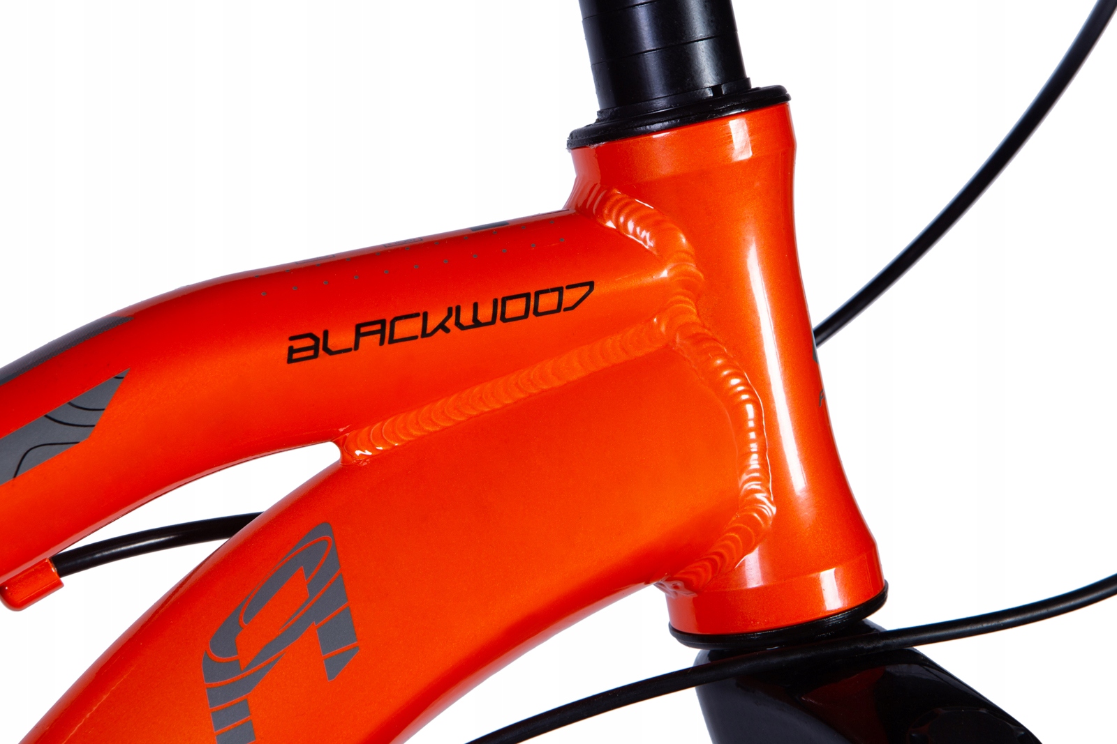 Rower Formula BLACKWOOD 1.0 DD wolnobieg rama 12 cali pomarańczowy Marka Formula