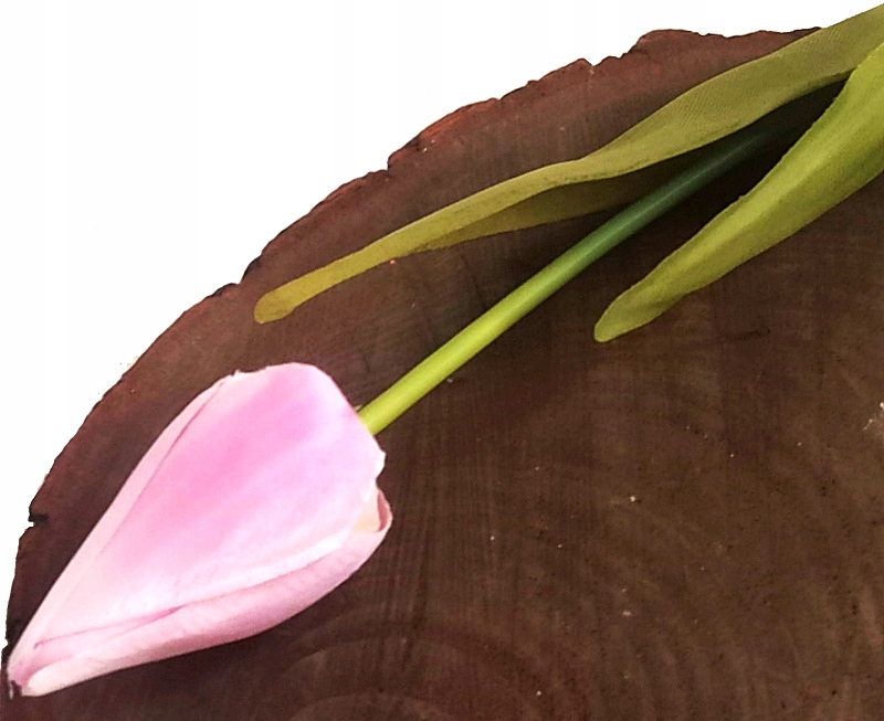 

Tulipan Na Łodydze Różowy 43 cm