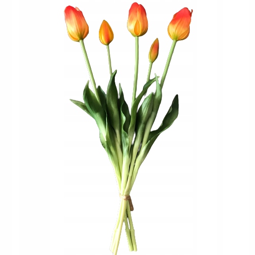 

Tulipan żółto-czerwony 40cm bukiet 5 szt. silikon