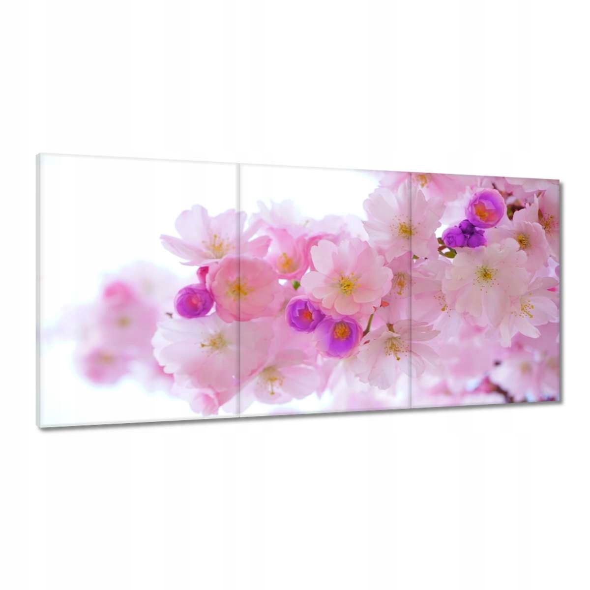 Obrazy 120x60 Větvička japonské třešně