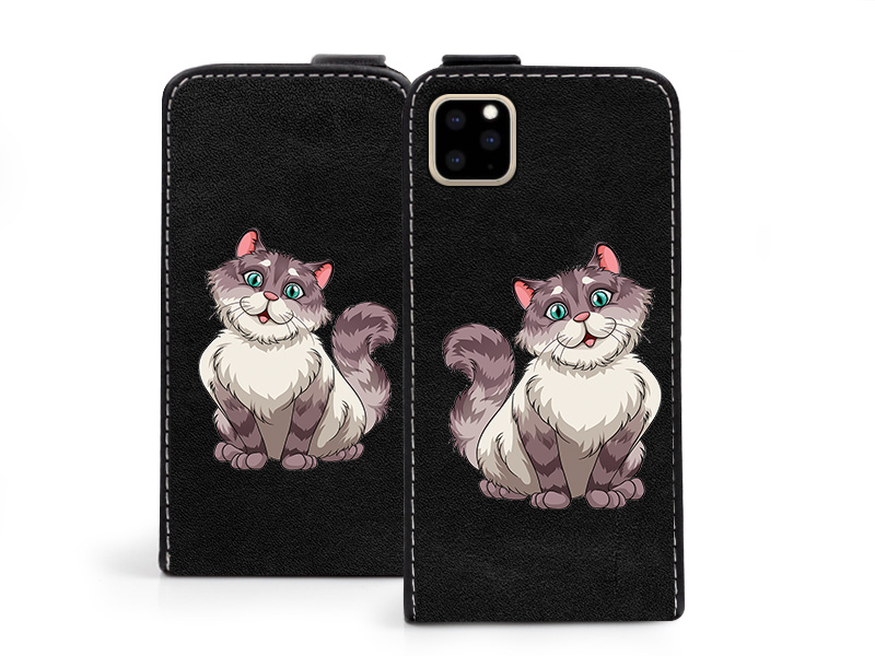 

Etui na Apple iPhone 11 Pro Max Flip Fantastic Cas
