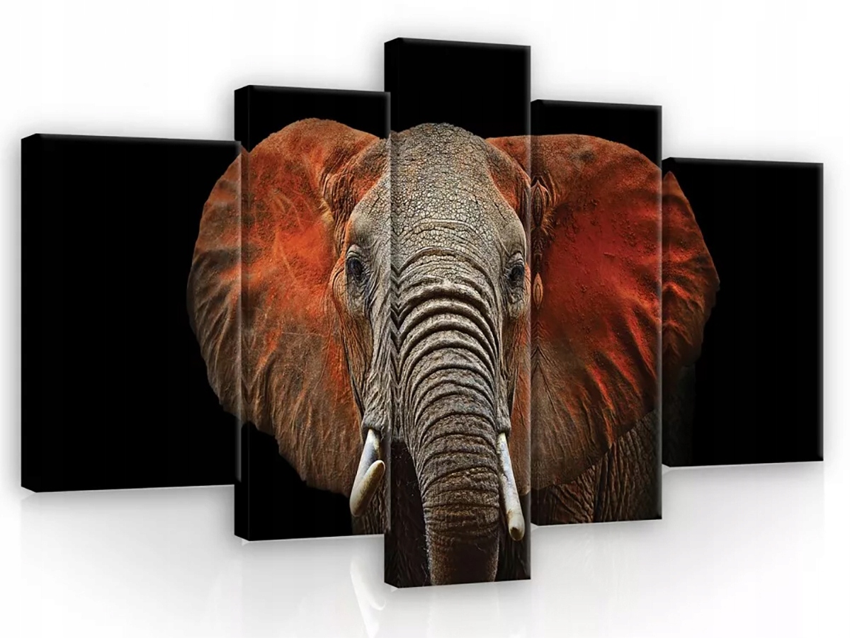 Obraz Na Plátně Canvas 170x100 Slon Portrét