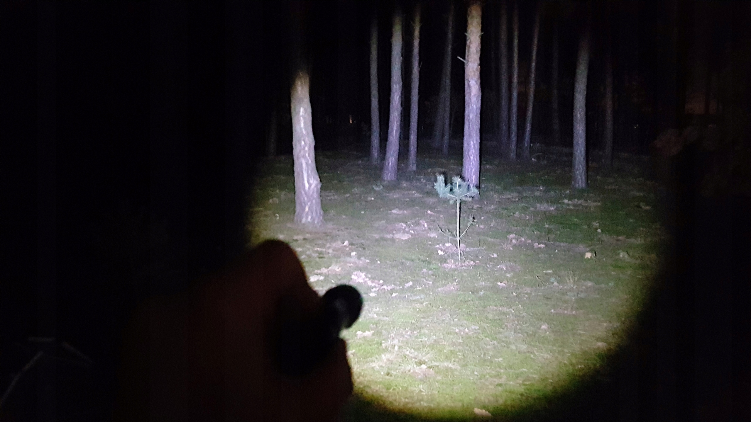 LATARKA USB 2X LED T3 COB USB Z AKUMULATOREM ZASIĘG 400m ZDJĘCIA NOCĄ Źródło światła LED