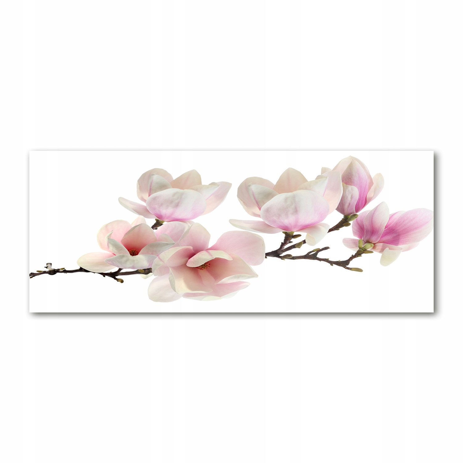 

Foto obraz duży akryl nowoczesny Magnolia 125x50cm