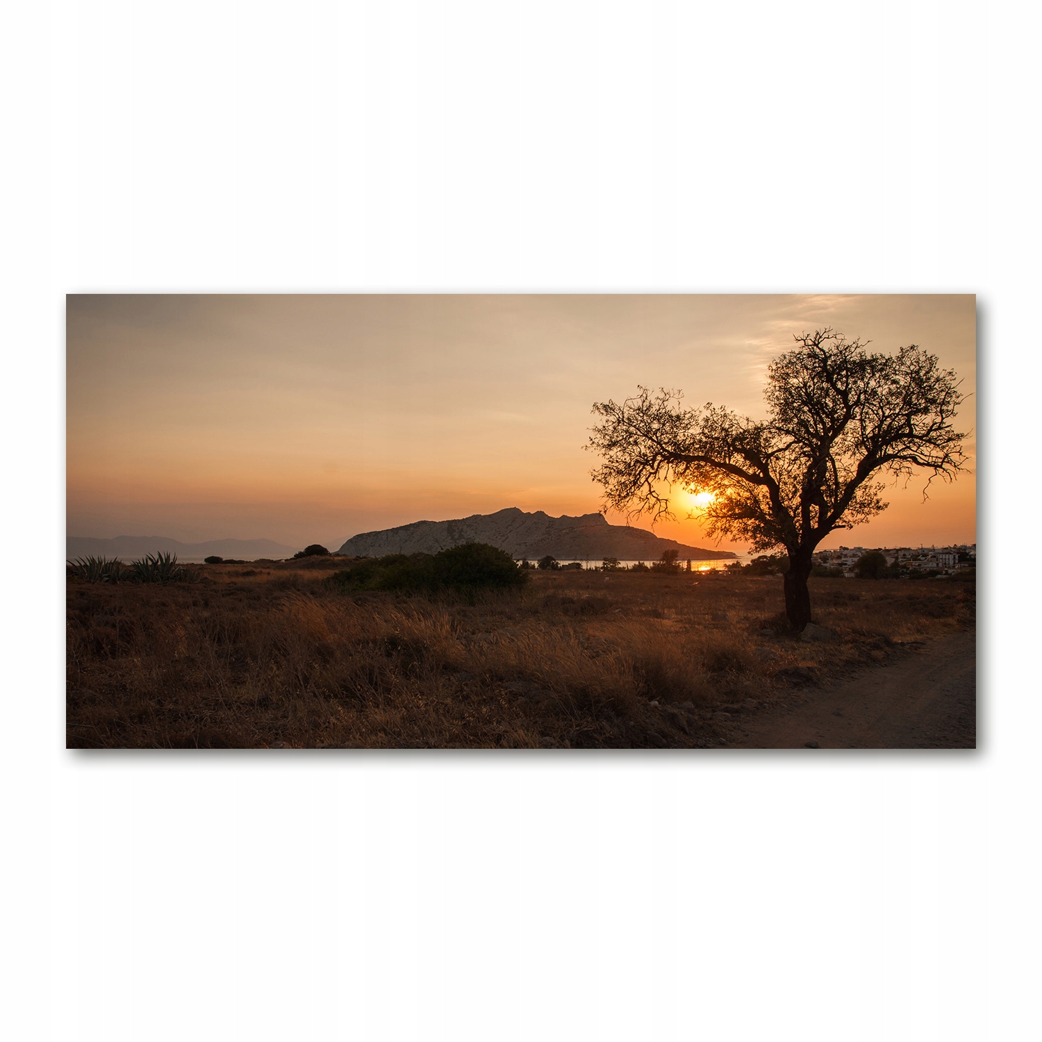

Foto obraz akryl zdjęcie Zachód słońca 120X60 cm