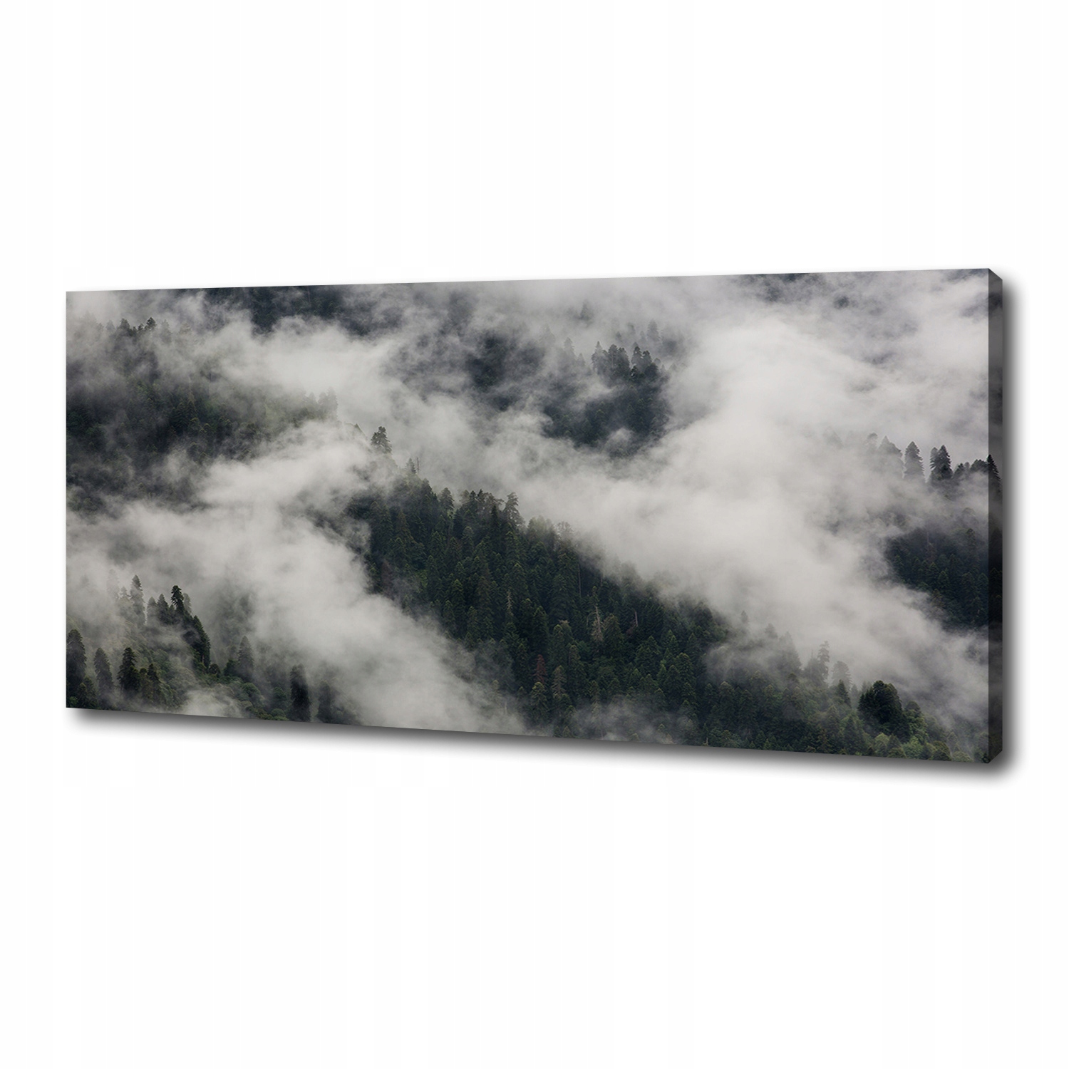 

Foto obraz na płótnie Mgła nad lasem 125x50 cm