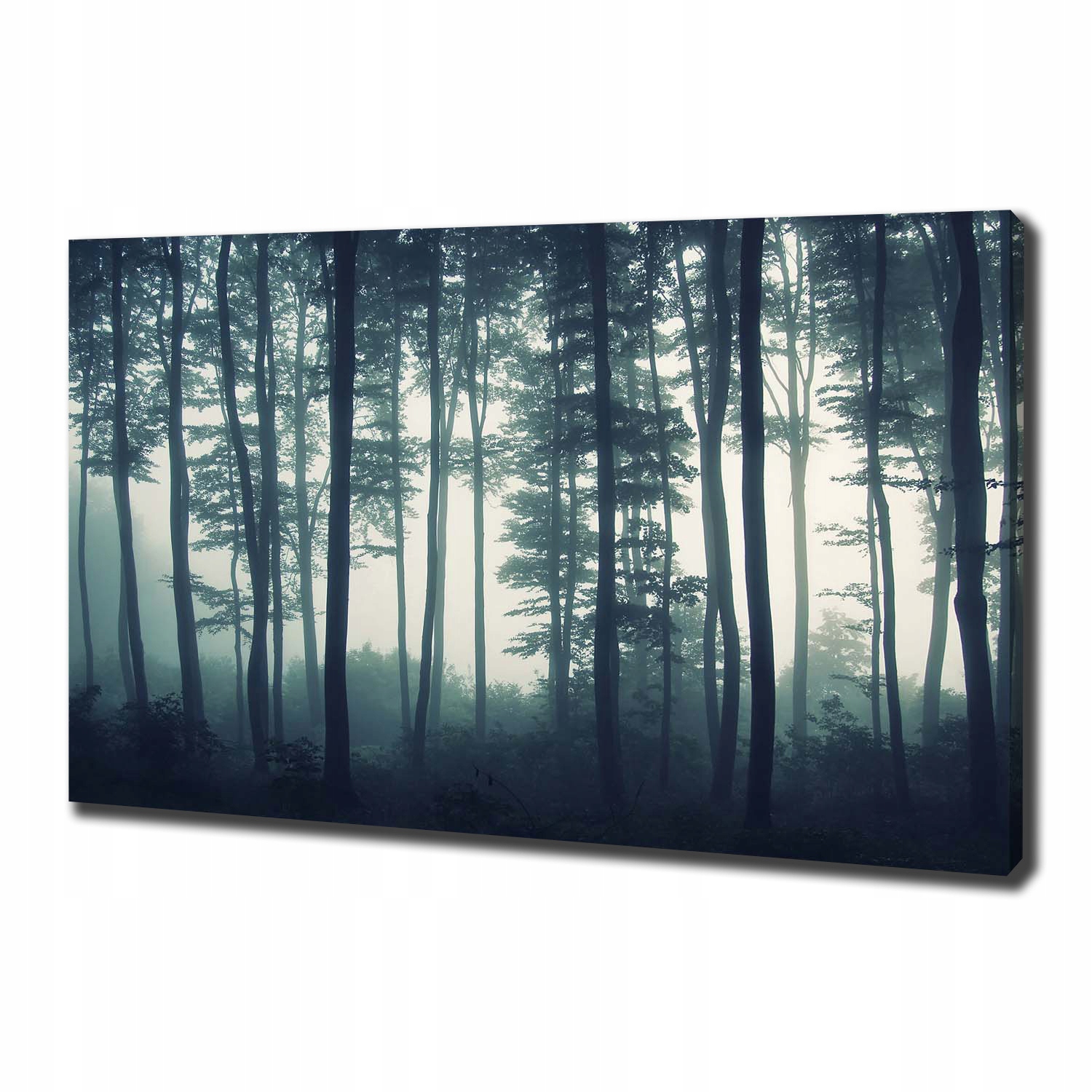 

Foto obraz canvas na ścianę Las we mgle 100x70 cm
