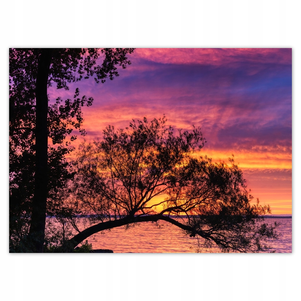 

Fototapety flizelina 254x184 Jezioro Drzewo Zachód