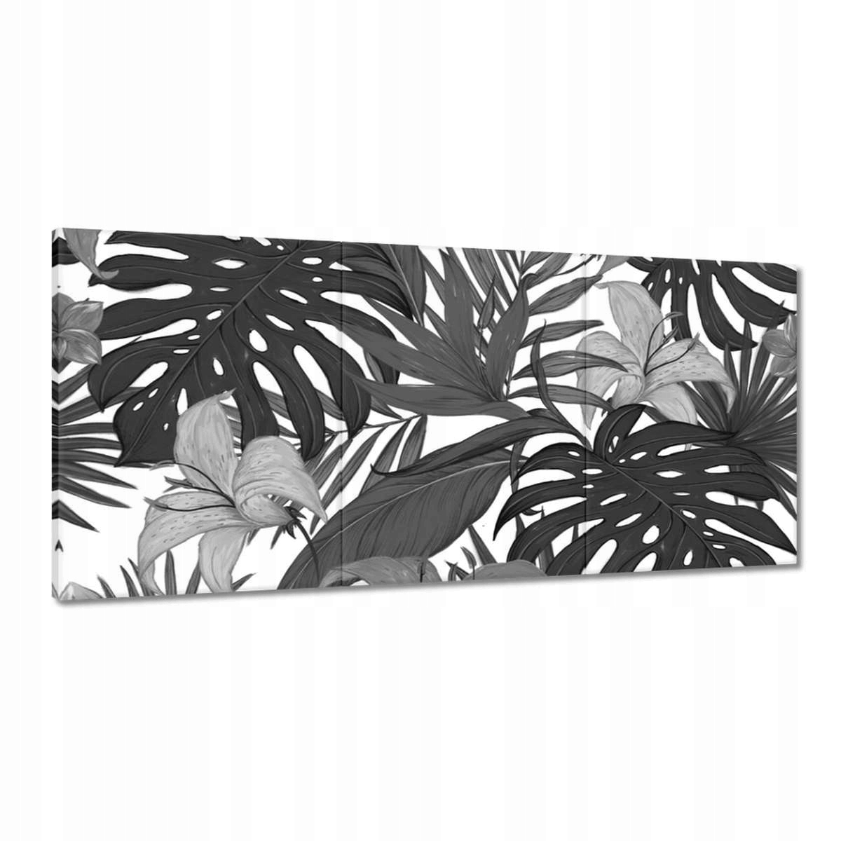 Obrazy 210x100 Čiernobiela monstera