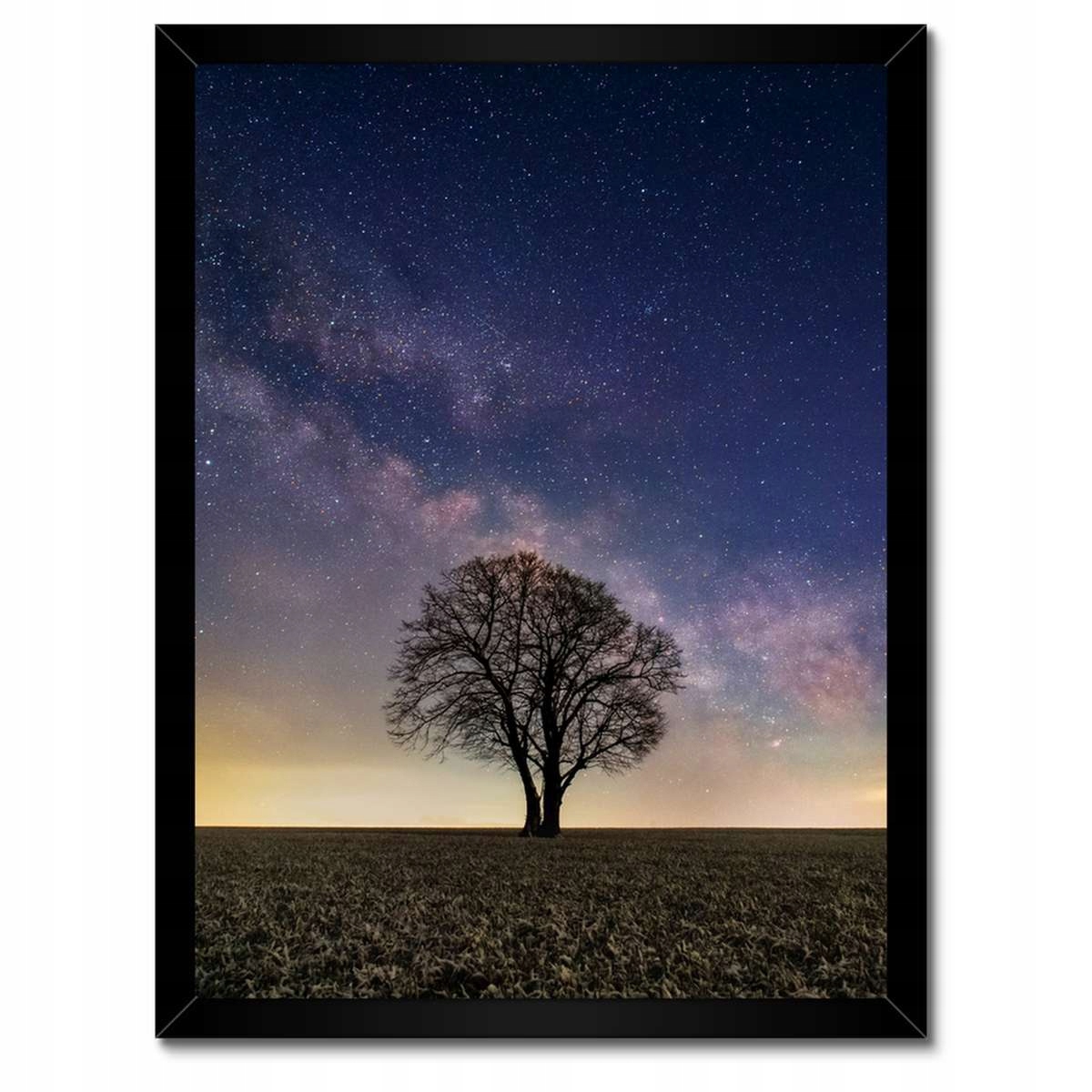 Plakáty v rámu 30x40 Osamělý strom a hvězdy