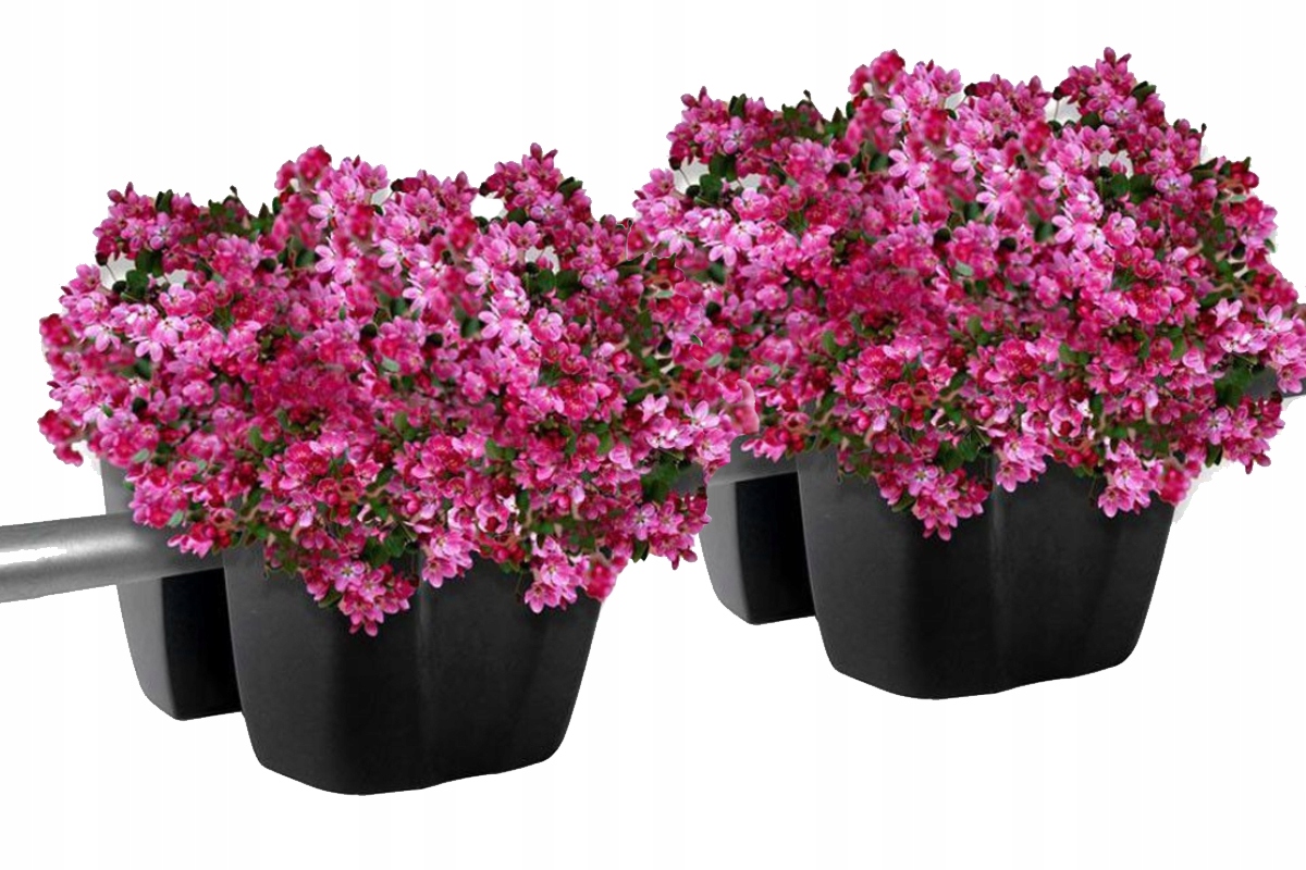 DONICZKA BALKONOWA NA BALUSTRADĘ SKRZYNKA BALKONOWA DCRO600 ANTRACYT 59 CM Długość 59 cm