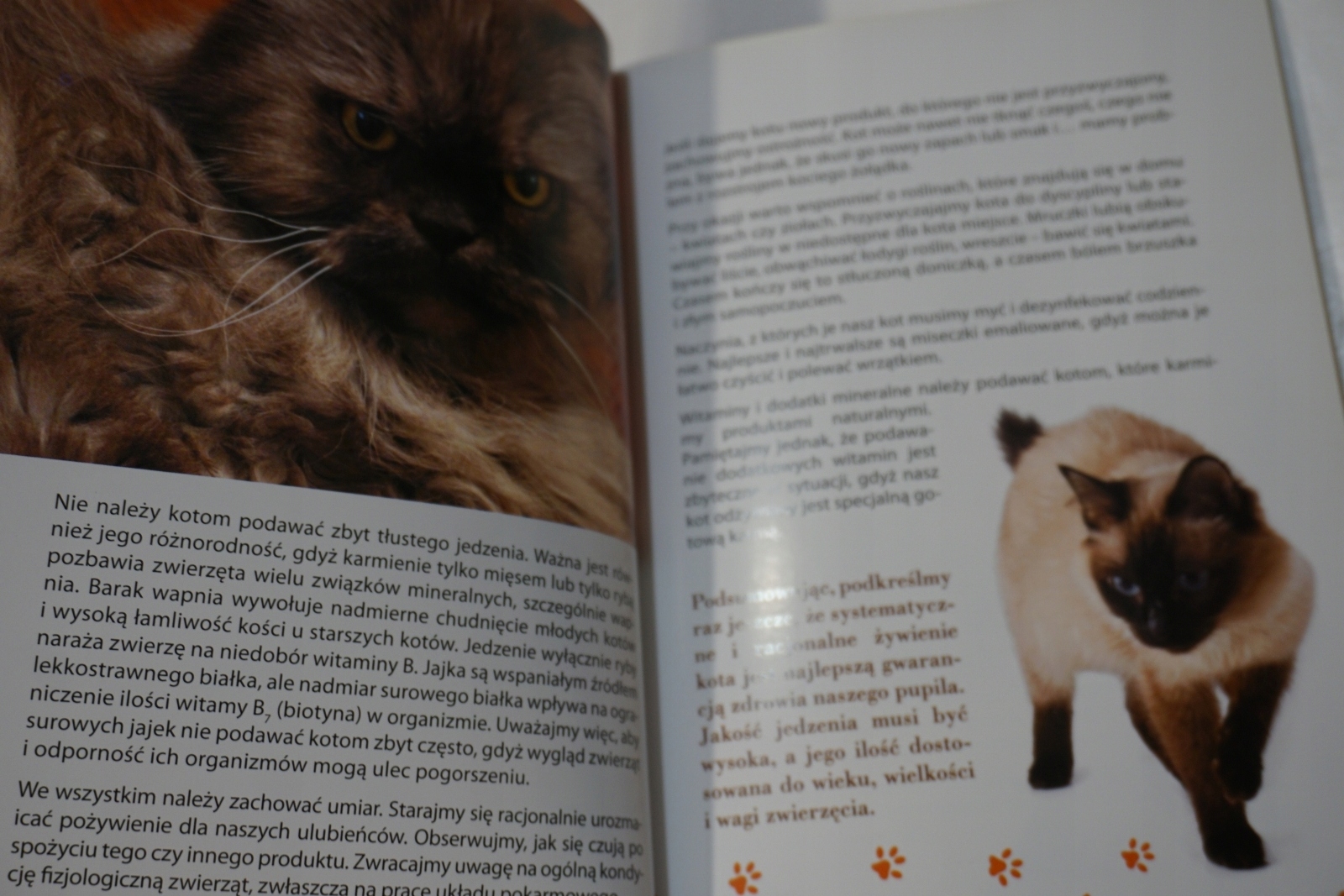 ŻYWIENIE TWOJEGO KOTA Język publikacji polski