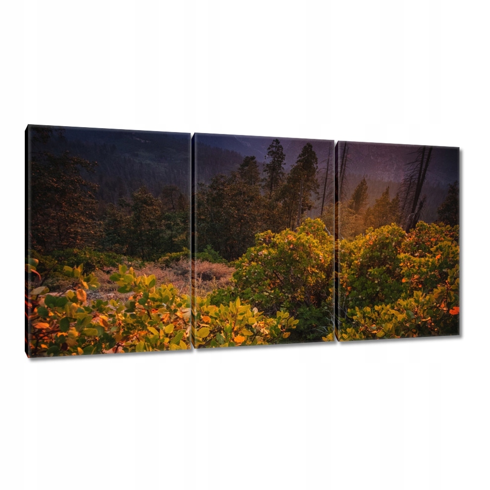 

Obrazy 120x60 Widok Pejzaż Krajobraz