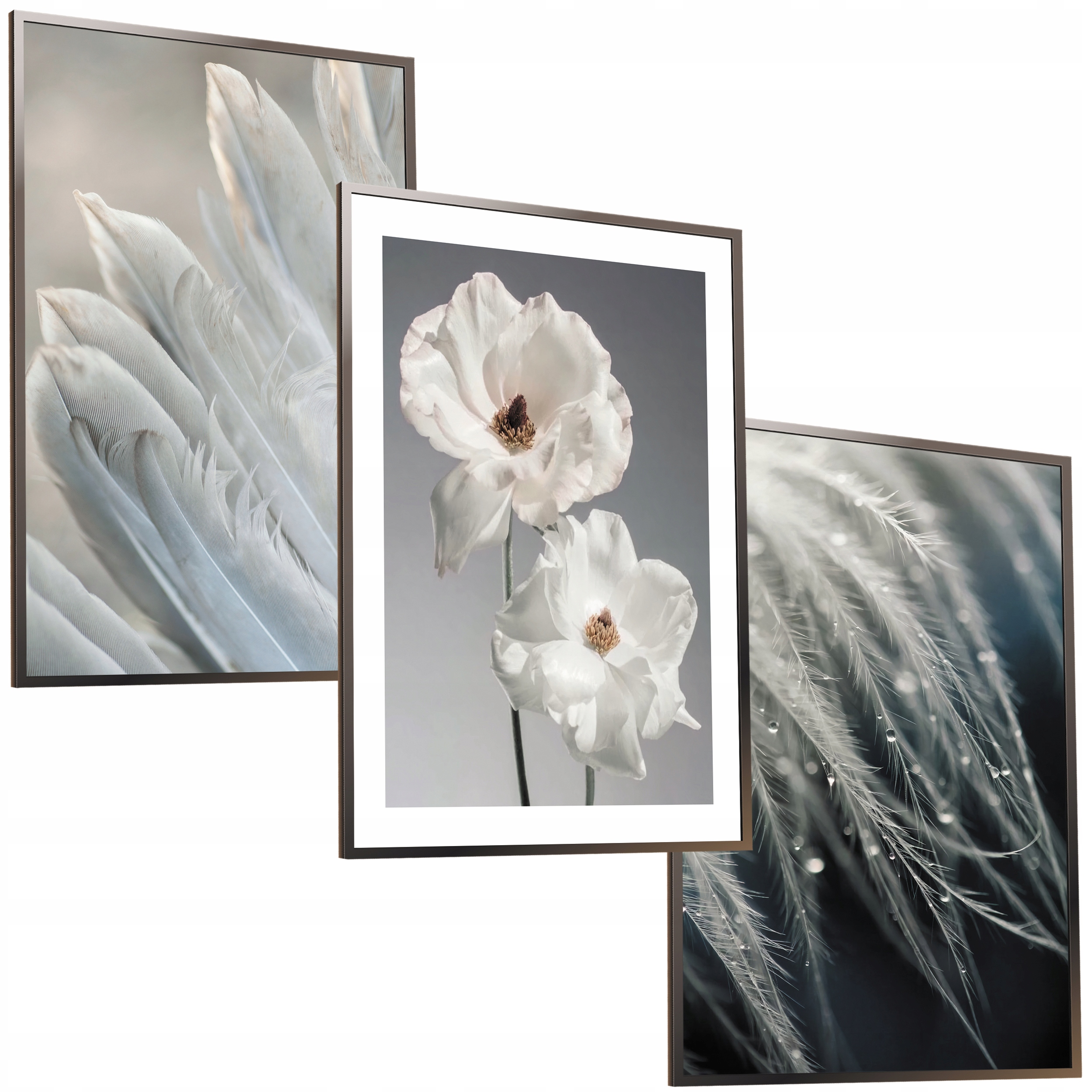 50x40 OBRAZY RAMIE PLAKATY KWIATY PIÓRA BOHO SALON