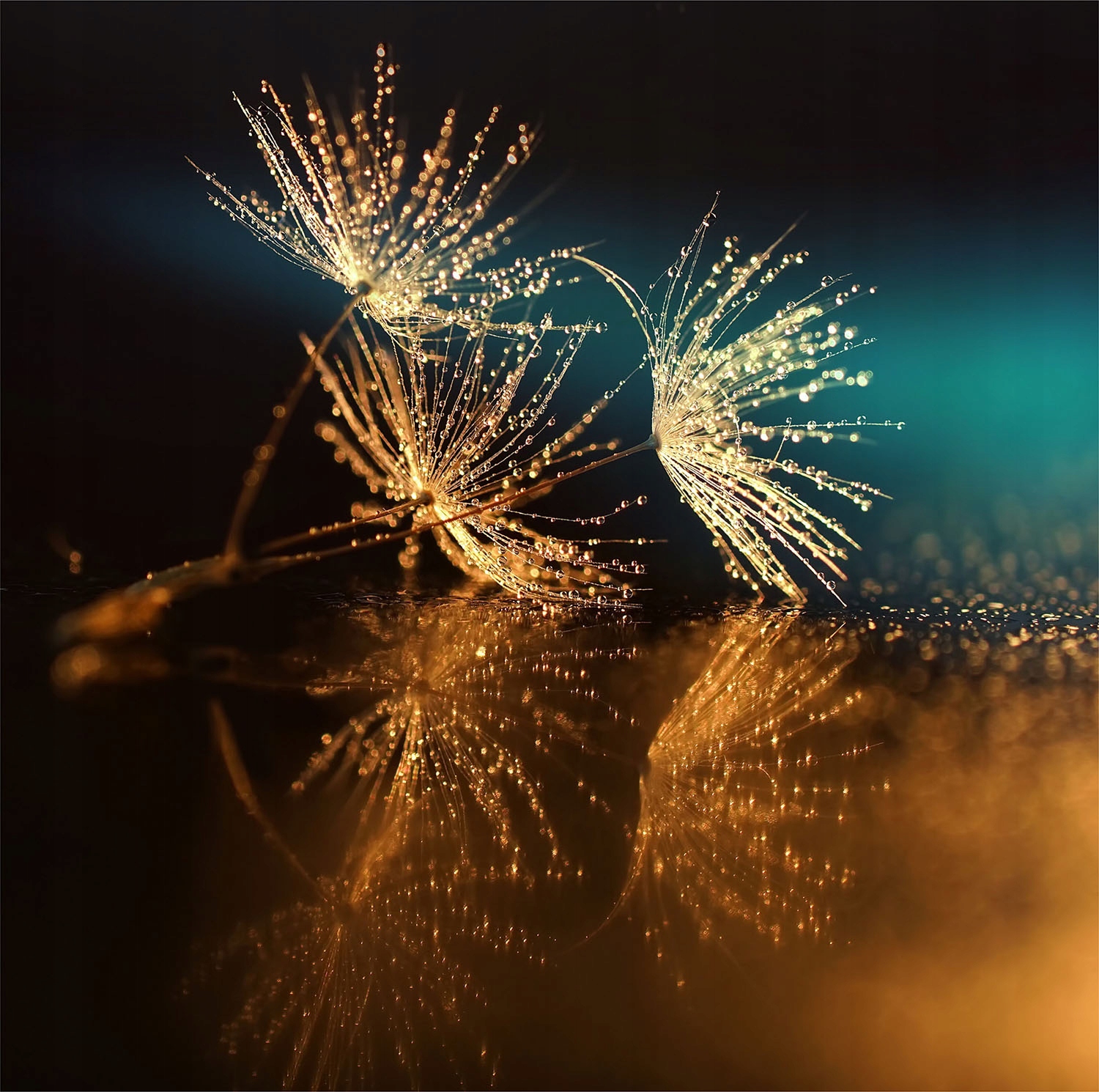 MAGNETYCZNA OSŁONA NA KALORYFER 60x60 KWIATY FOTOTAPETA Materiał mata magnetyczna