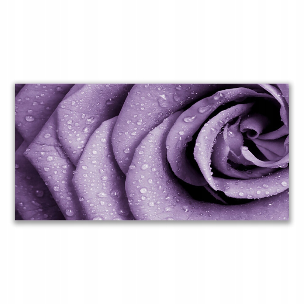 

Obraz akryl na prezent 120x60 Róża Kwiat Roślina