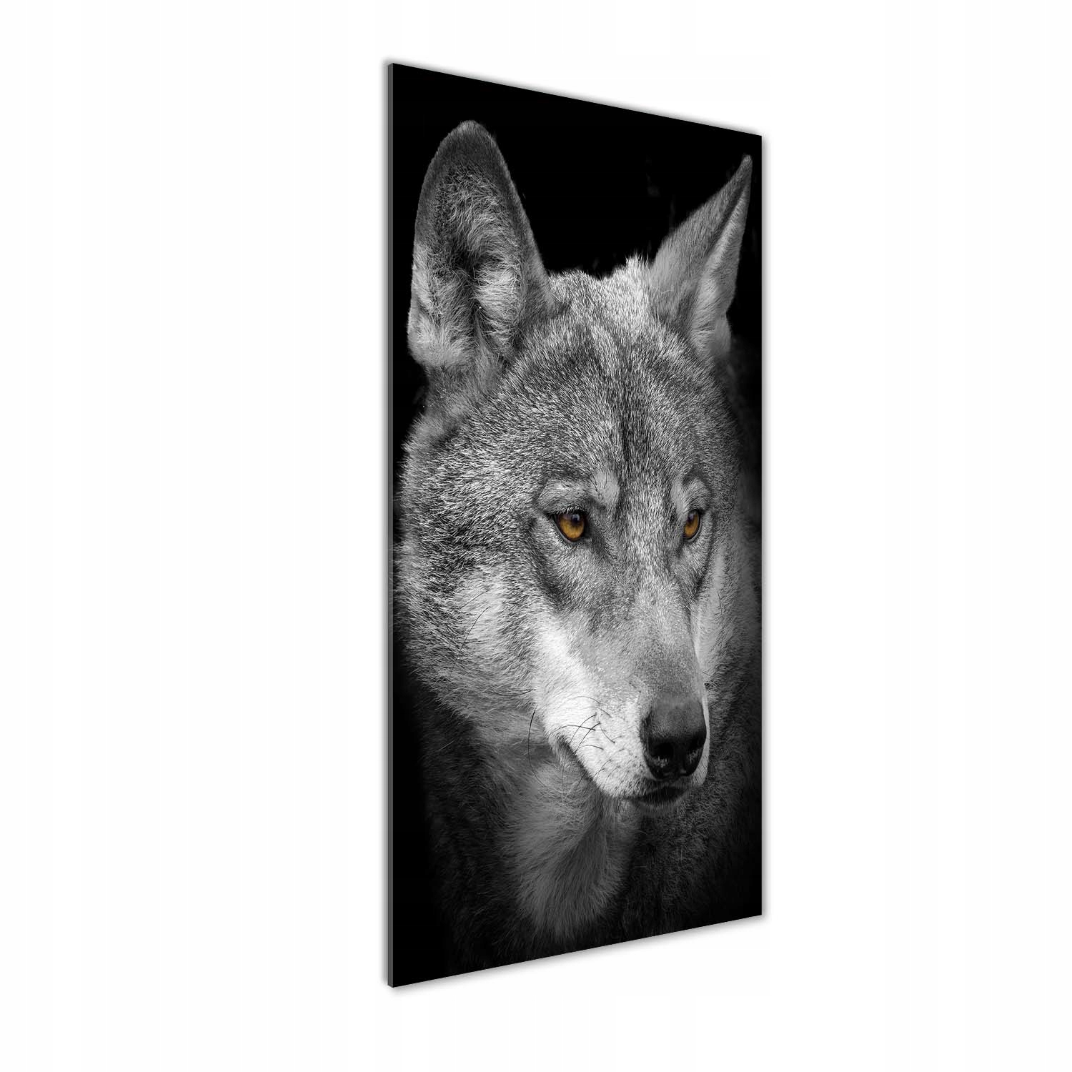 

Foto obraz akrylowy do salonu Portret wilka 50x125