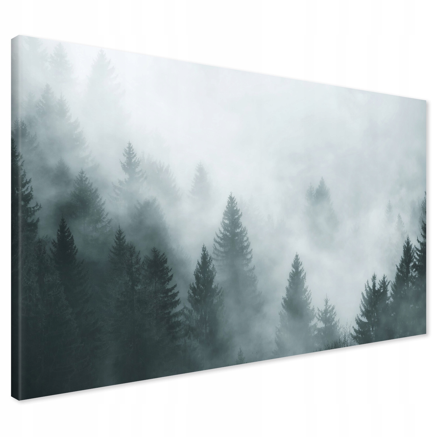 

Obraz na płótnie las we mgle 120x80