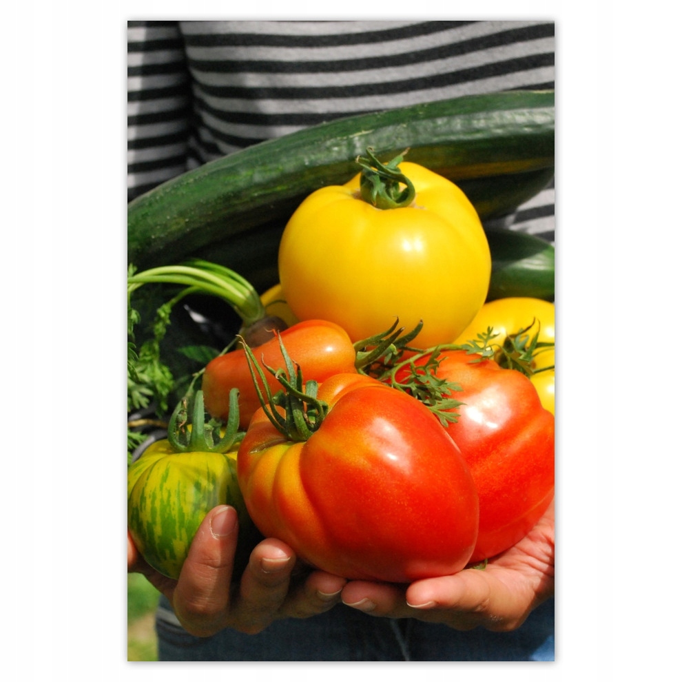 

Plakaty 62x93 Kuchenne Obrazy Rewolucje