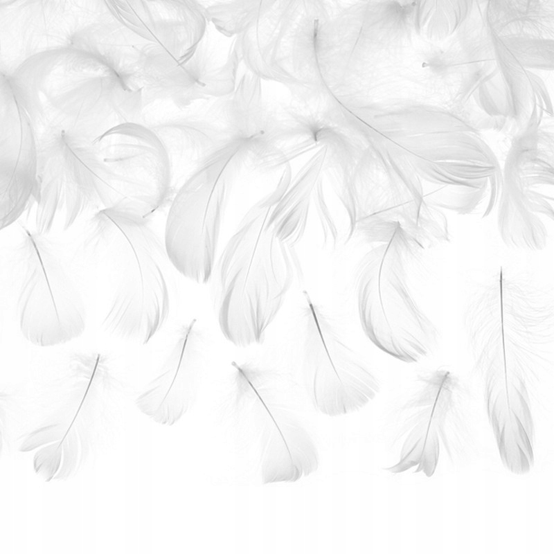 

Piórka Do Dekoracji Na Święta Białe Ozdoba Na Stół