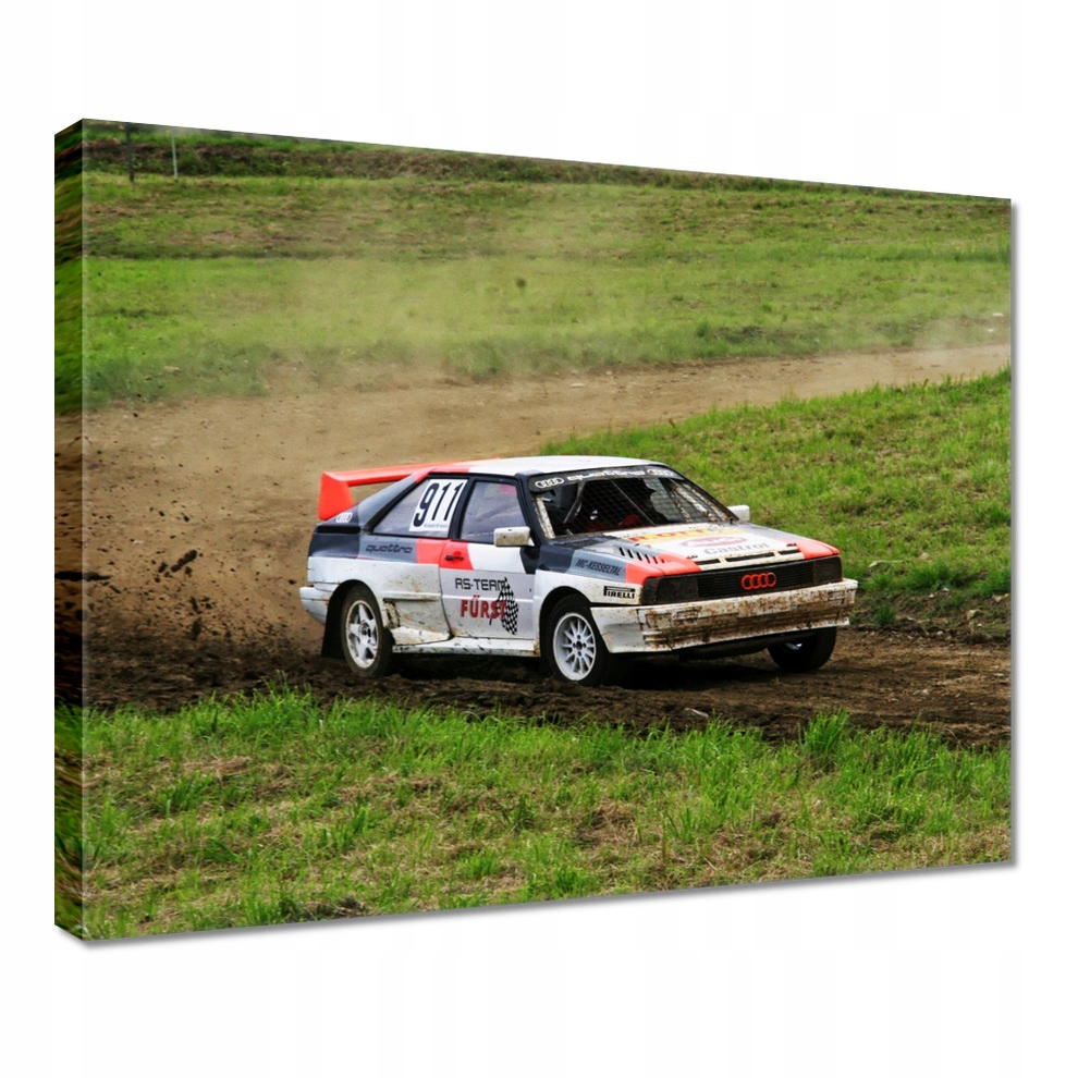 

Obraz 50x40 Audi Quattro w terenie