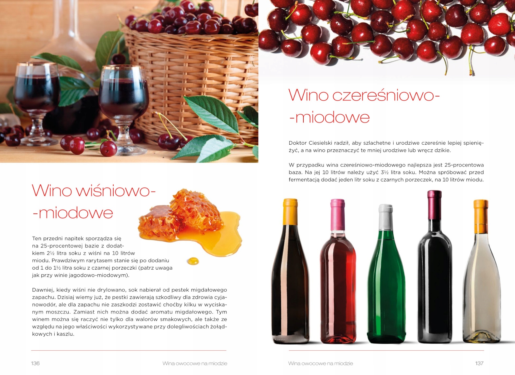 WINA DOMOWE 100 NAJLEPSZYCH PRZEPISÓW TW SBM 9028 Wydawnictwo Wydawnictwo SBM