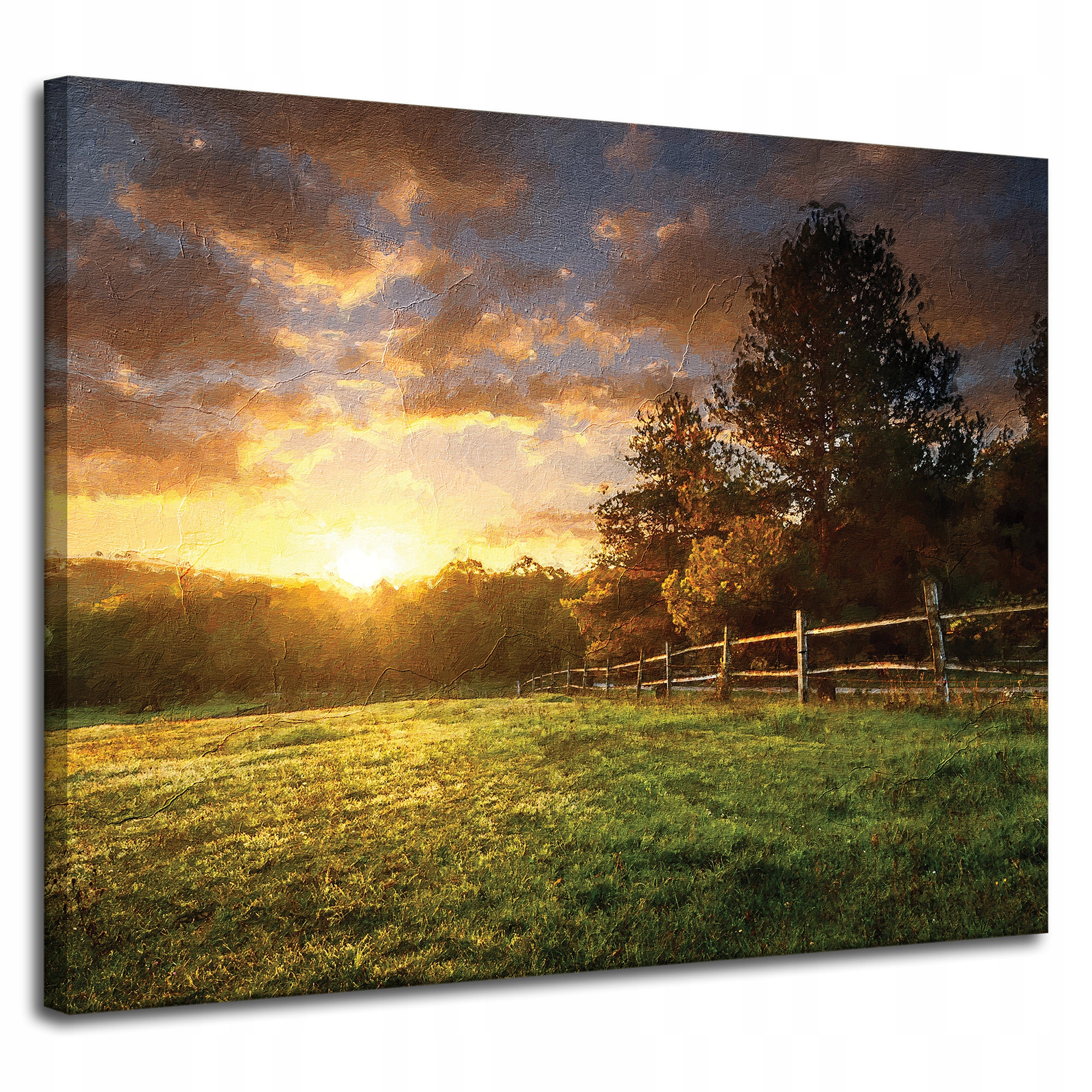 Obraz na plátně Slunce Krajina Venkovské stromy Louka 100x80 cm